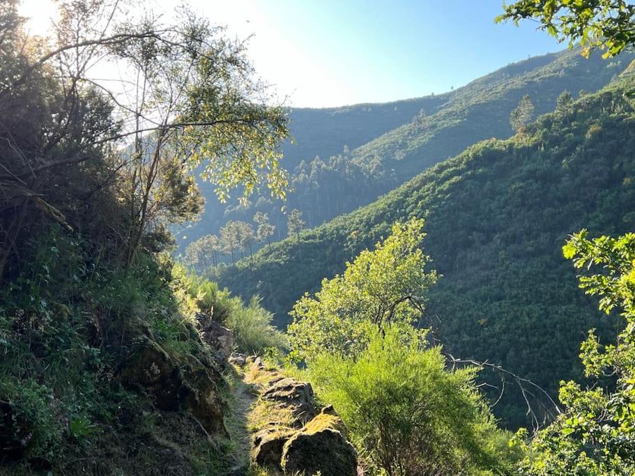 Casinha Do Sol - Natureza & Lazer - Serra Da Freita Αρούκα Εξωτερικό φωτογραφία