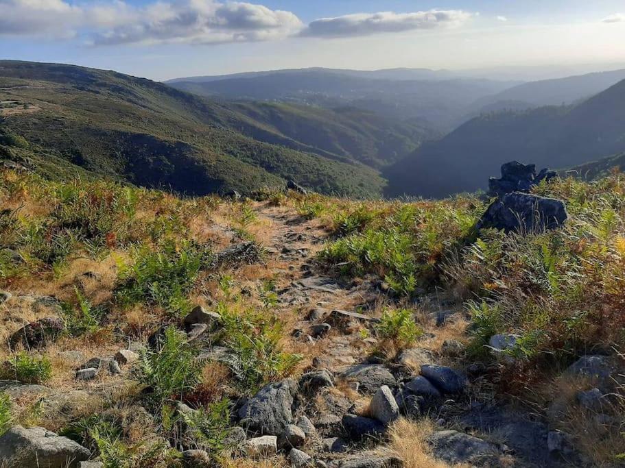 Casinha Do Sol - Natureza & Lazer - Serra Da Freita Αρούκα Εξωτερικό φωτογραφία