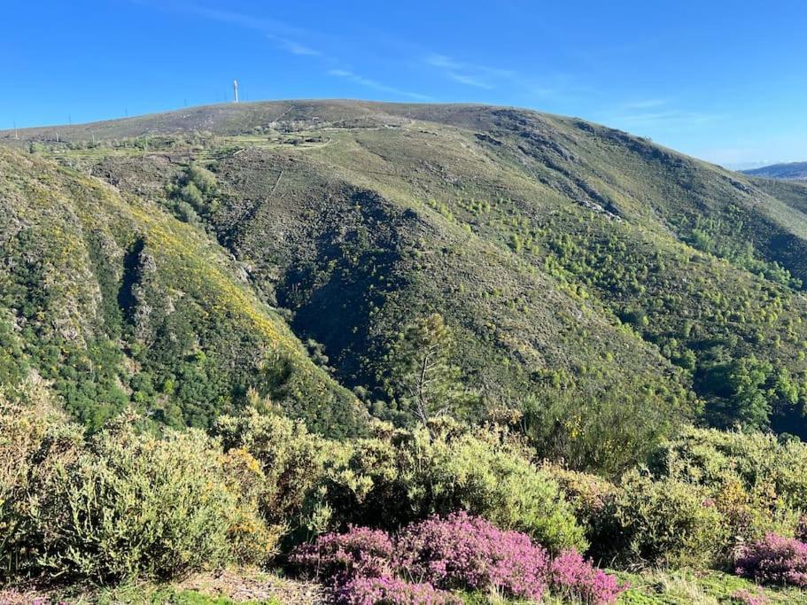 Casinha Do Sol - Natureza & Lazer - Serra Da Freita Αρούκα Εξωτερικό φωτογραφία